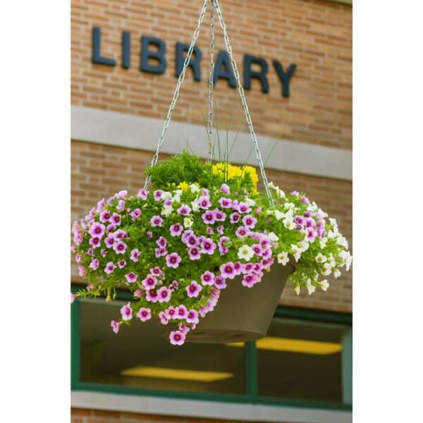 Breeze Self Watering Hanging Planter