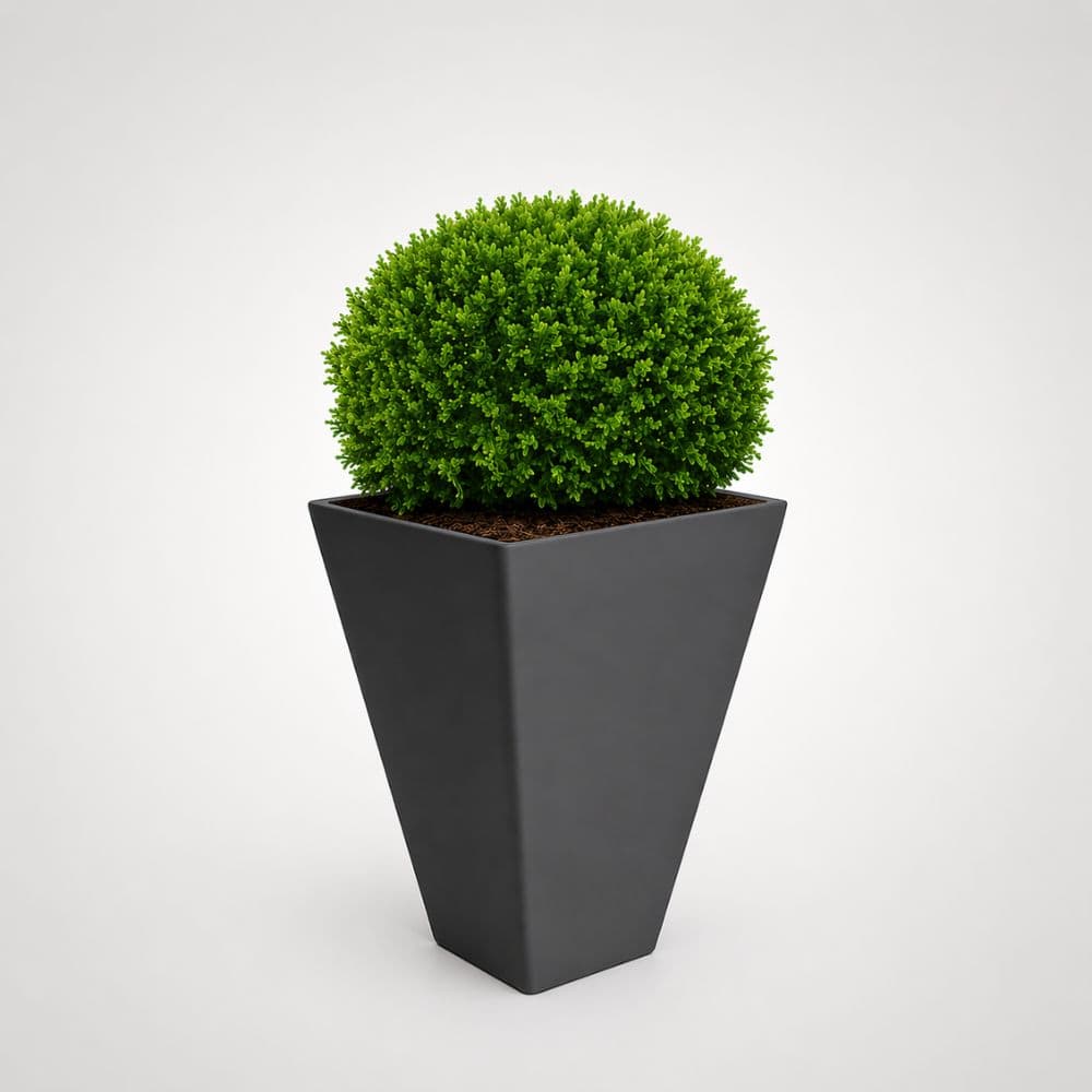 Cosmopolitan Self Watering Planter