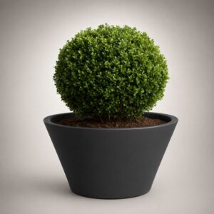 Hana Small Round Self Watering Planter