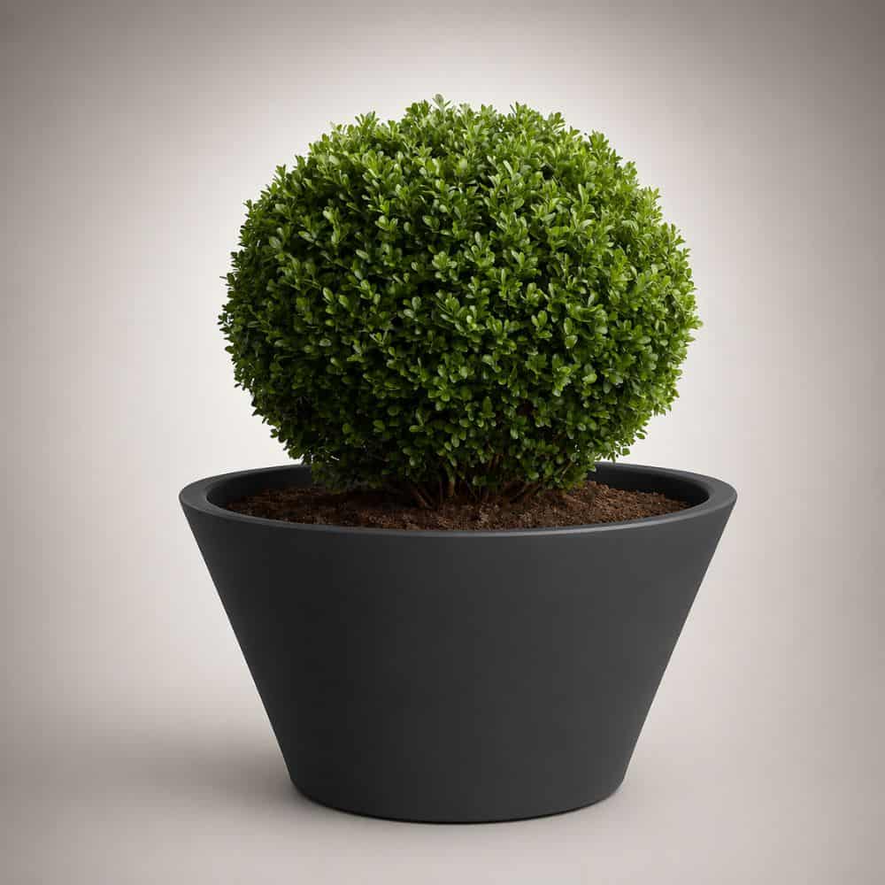 Hana Self Watering Planter