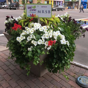 Commercial Planter- Urbanscape