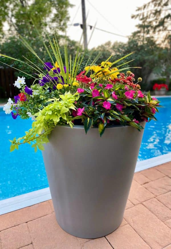 Uptown Self-Watering Planter