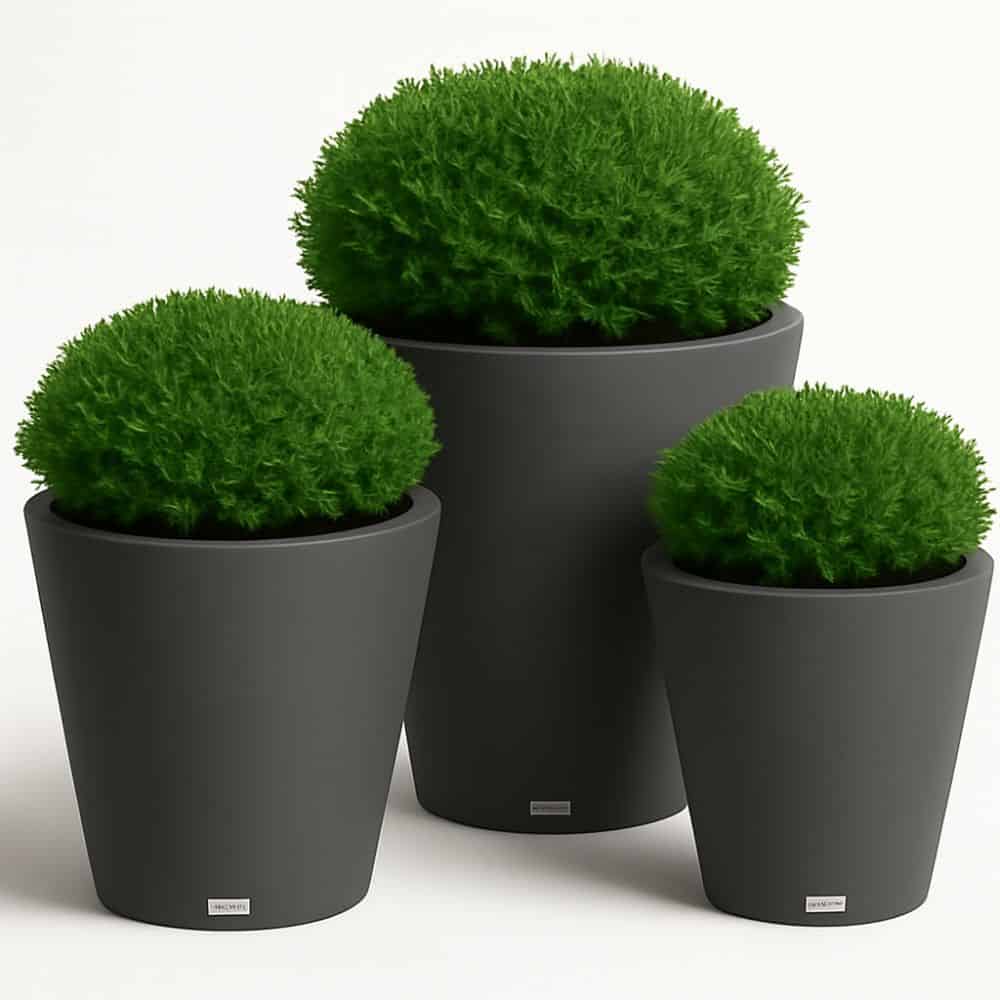 Uptown Commercial Self Watering Planter - Image 2