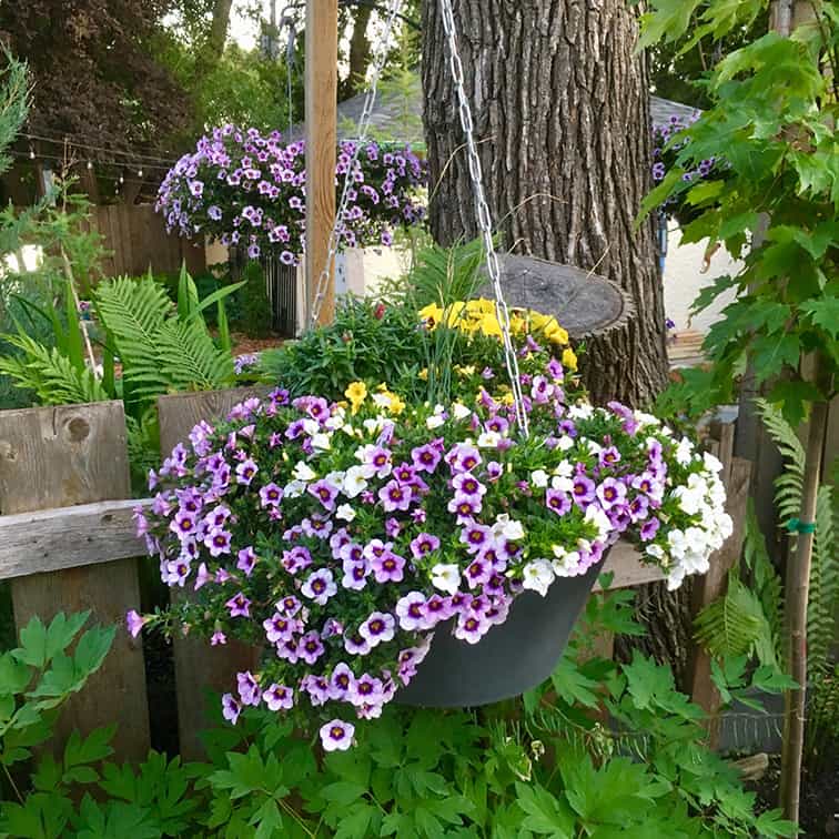 The Breeze Hanging planter The Breeze Hanging planter