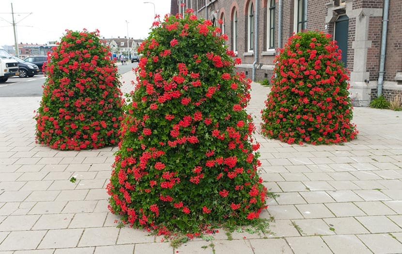 Flower Tower Urbanscape Self-Watering Planters