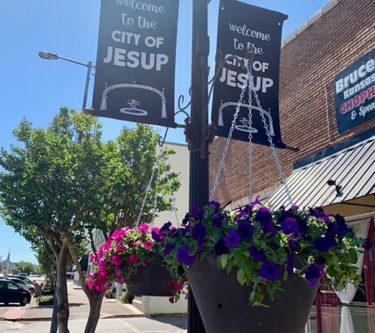 Urbanscape Hanging Planters
