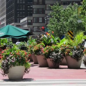 Uptown Commercial Self Watering Planter - Image 8
