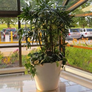 Urbanscape Uptown Self-Watering Planter