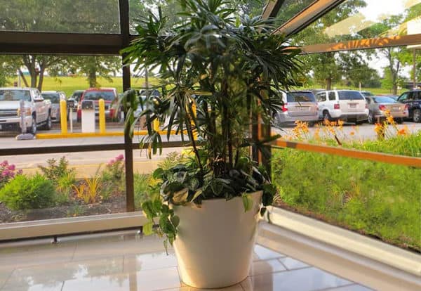 Urbanscape Uptown Self-Watering Planter