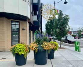 Bottom Watering Planter