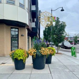 Bottom Watering Planter