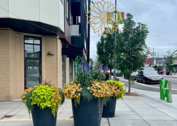 Bottom Watering Planter