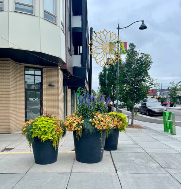 Bottom Watering Planter