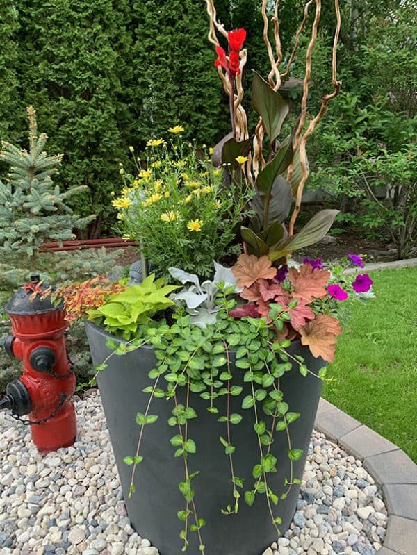 How Do Self Watering Planters Work? SelfWatering Planters Urbanscape