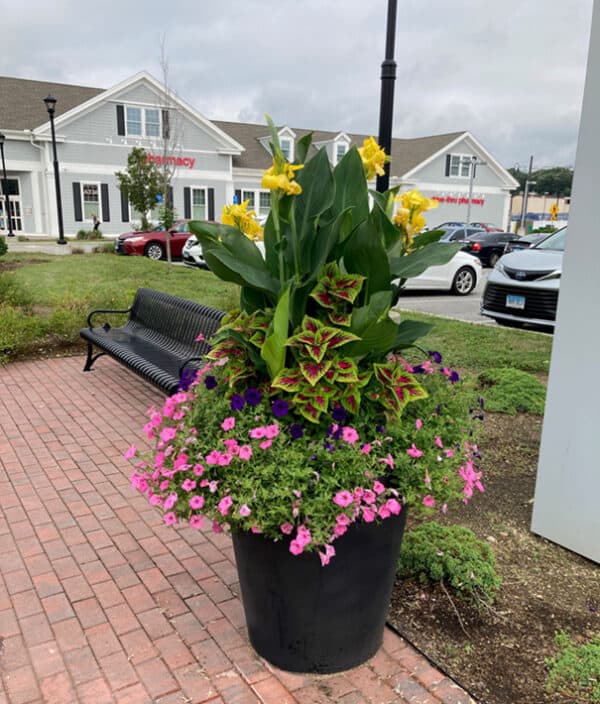 Uptown 28 Planter- Urbanscape