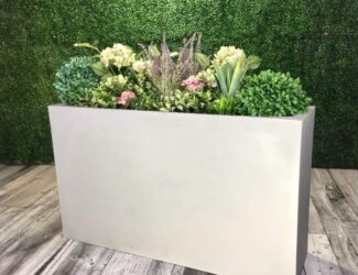 Trough planters