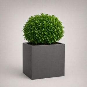 Wellington Cube Self Watering Planter