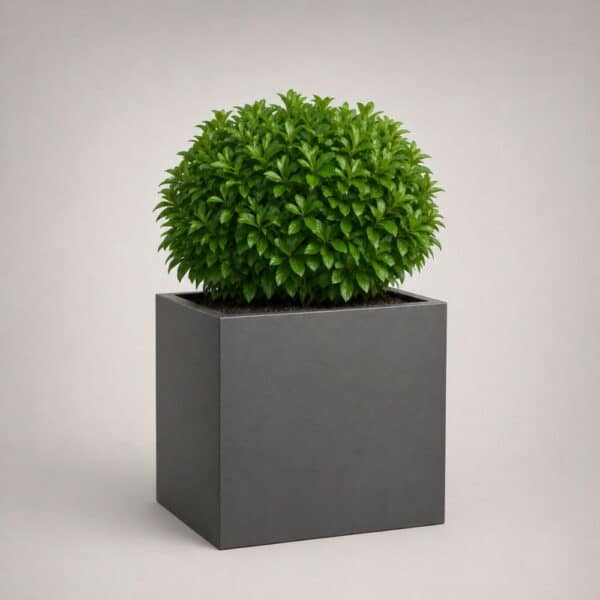Wellington Cube Self Watering Planter