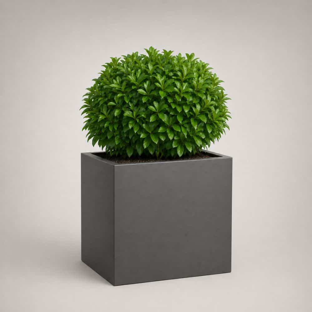 Wellington Self Watering Planter