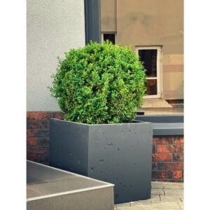 Wellington Cube Self Watering Planter - Image 4