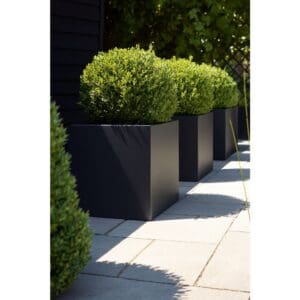 Wellington Cube Self Watering Planter - Image 6