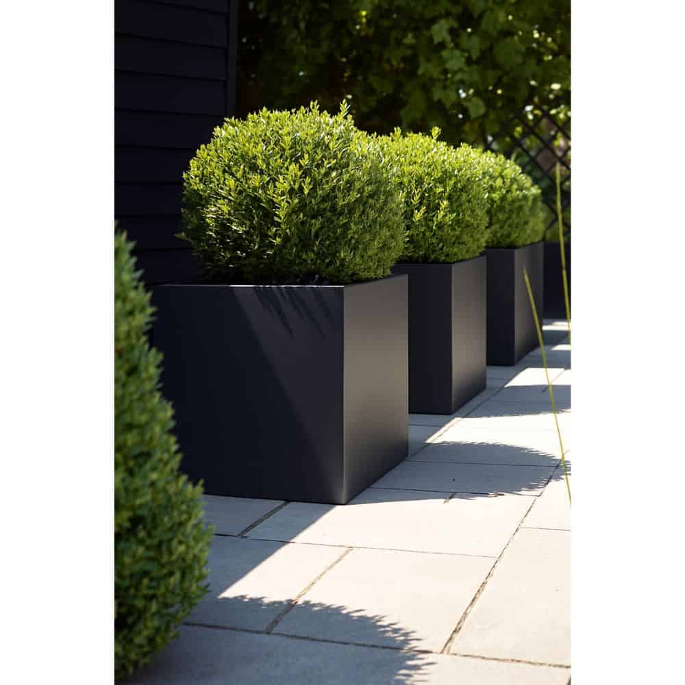 Wellington Cube Self Watering Planter - Image 6