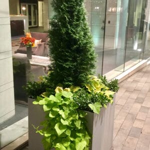 Wellington Cube Planter