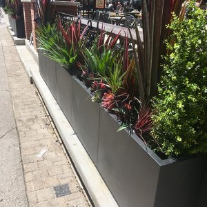 commercial planters urbanscape