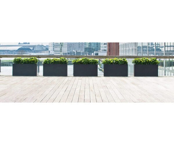 Hampton Long Rectangular Self Watering Planter
