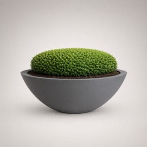 Harvard Wide Low Bowl Self Watering Planter