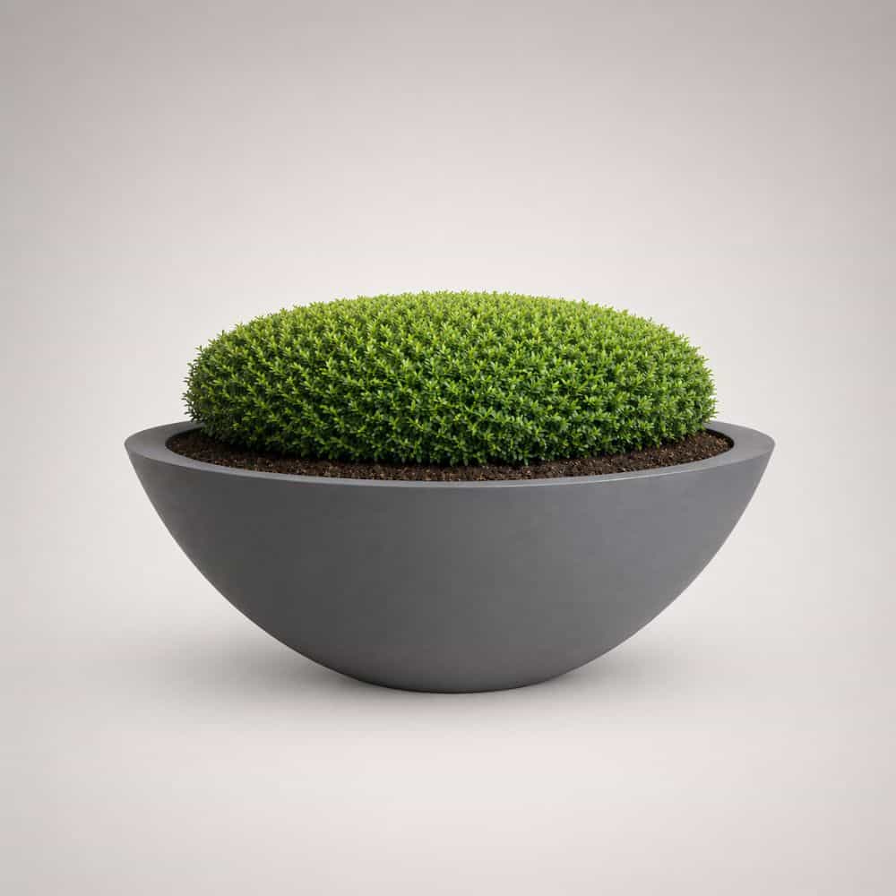 Harvard Low Bowl Self Watering Planter