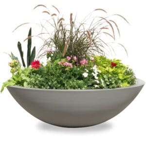 Harvard Wide Low Bowl Self Watering Planter - Image 4