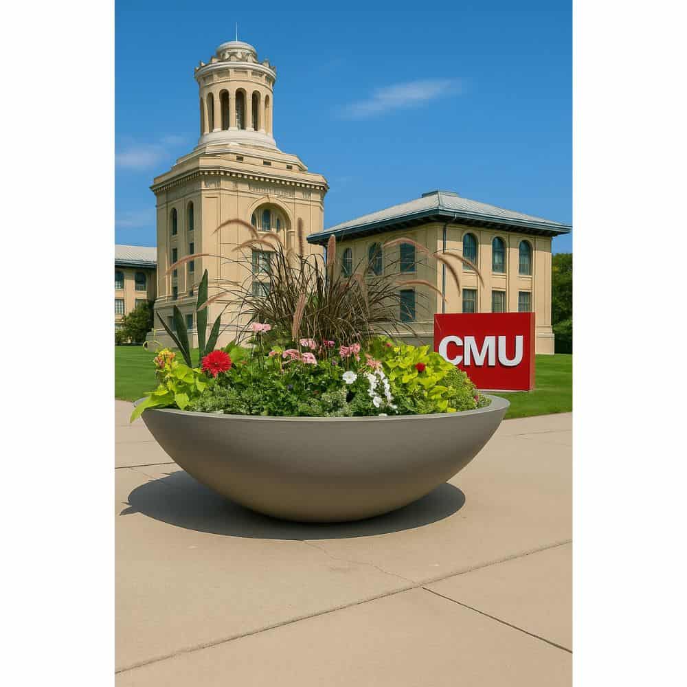 Harvard Wide Low Bowl Self Watering Planter - Image 6