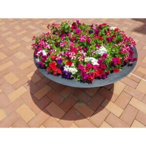 Harvard Wide Low Bowl Self Watering Planter - Image 3