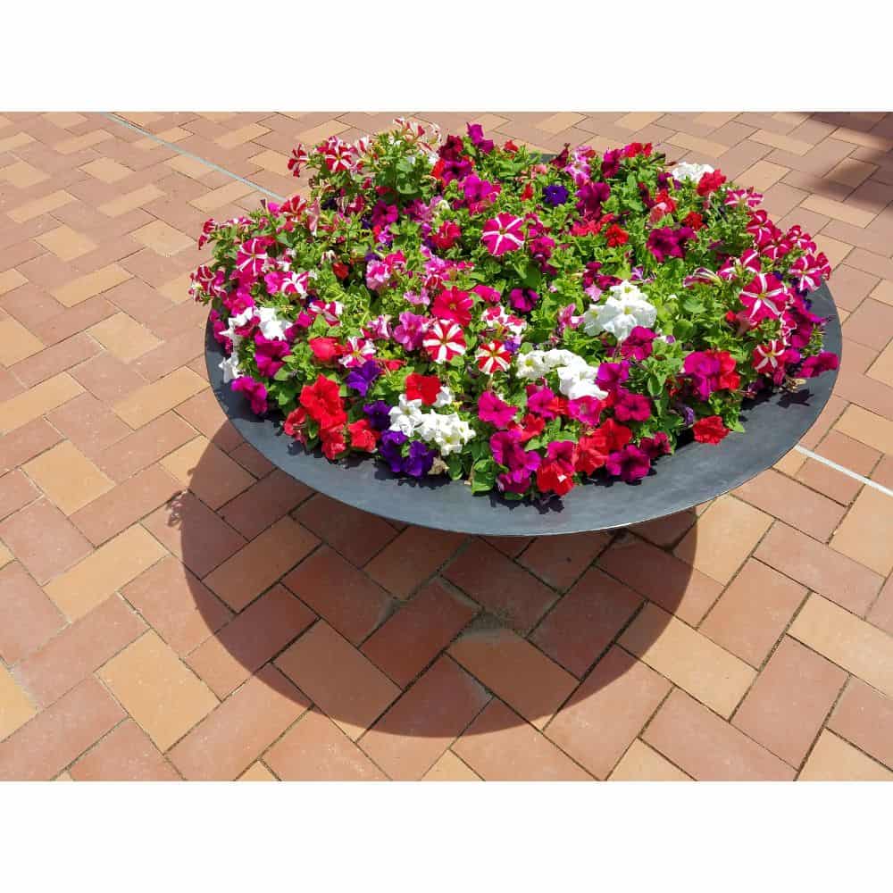 Harvard Wide Low Bowl Self Watering Planter - Image 3