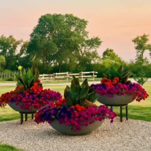 Harvard Wide Low Bowl Self Watering Planter - Image 7