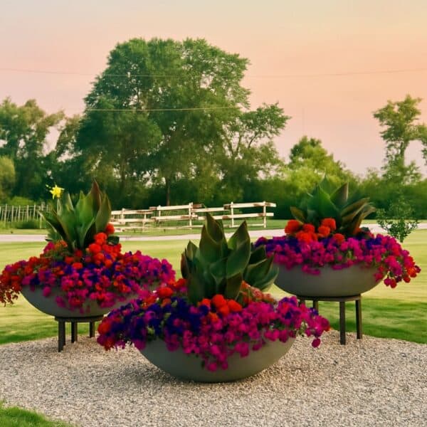 Harvard Wide Low Bowl Self Watering Planter