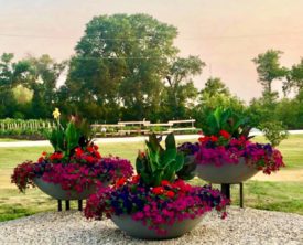 Urbanscape Self Watering Planter