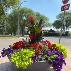 commercial planter