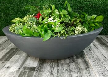 Silhouette low bowl pic