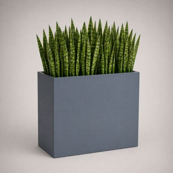 Kingston Rectangular Self Watering Planter in Gray with plants