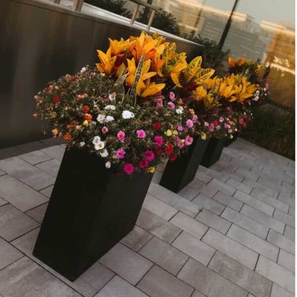 Kingston Rectangular Self Watering Planter