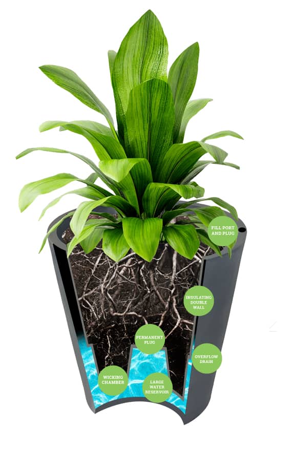 howitworksnew Urbanscape SelfWatering Planters