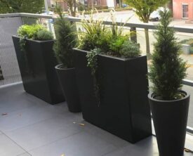 Rectangular Planters