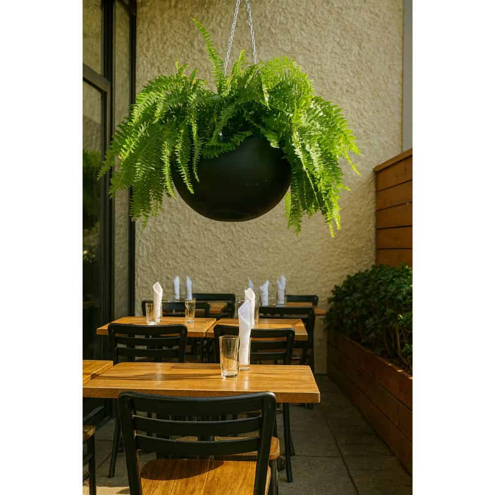 Cambridge Self Watering Hanging Basket - Image 3