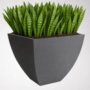 Manhattan Self Watering Planter