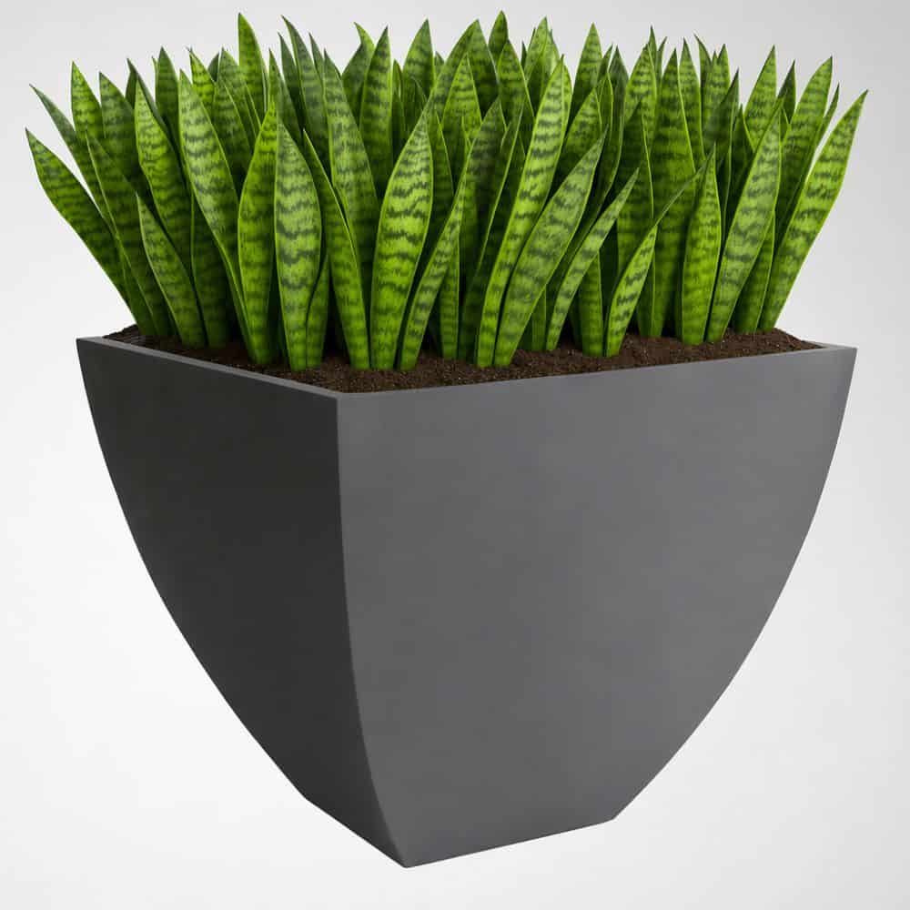 Manhattan Self Watering Planter