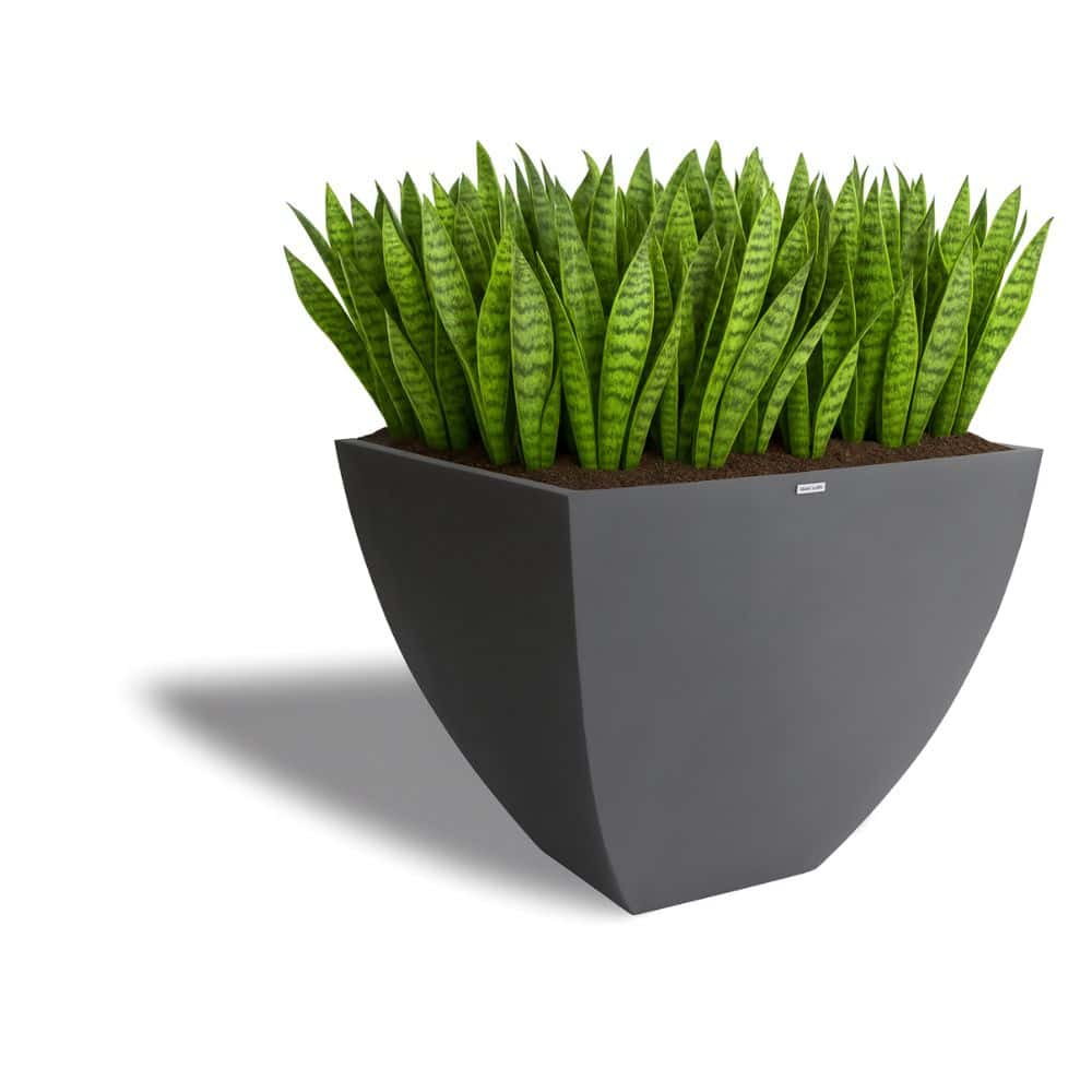 plants for hanging terrarium Hanging Terrarium – Pondside Nursery main image 0
