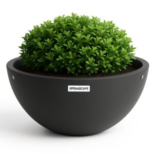 Oxford Self Watering Bowl Planter - Image 2