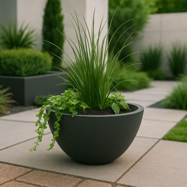 Oxford Self Watering Bowl Planter